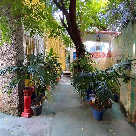 Hostel Sol Da Barra ซัลวาดอร์ ภายนอก รูปภาพ