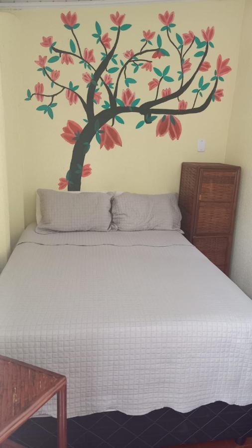 Hostel Sol Da Barra ซัลวาดอร์ ภายนอก รูปภาพ