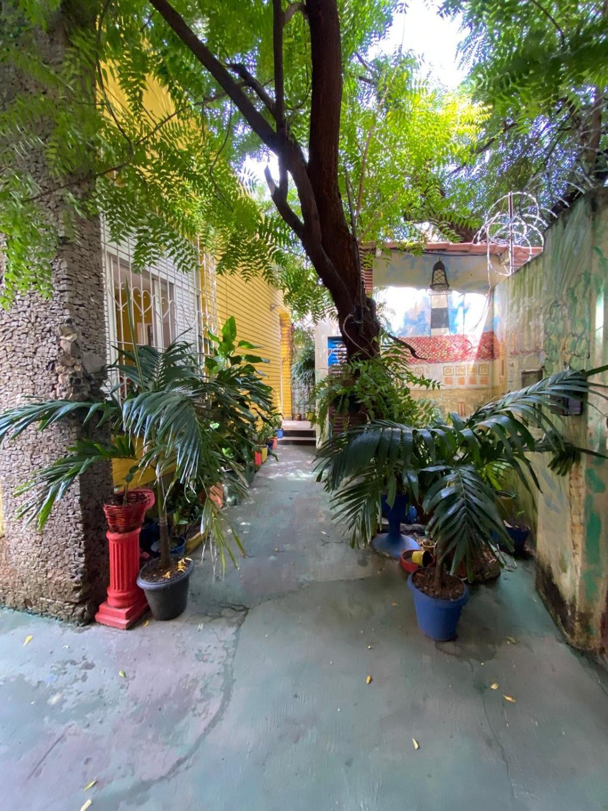 Hostel Sol Da Barra ซัลวาดอร์ ภายนอก รูปภาพ